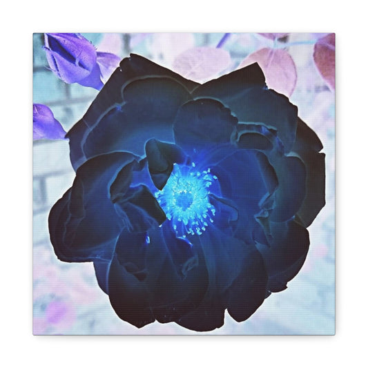 Dark Rose Canvas Gallery Wraps
